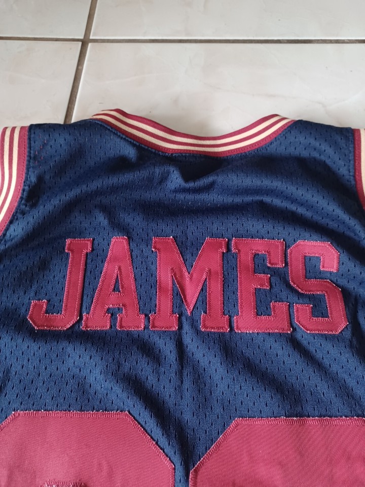 Lebron James 23 Cleveland Cavaliers NBA Nike Swingman Jersey Size XL
