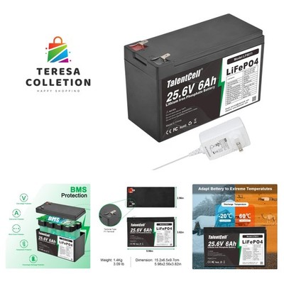 Powerful 24V 6Ah LiFePO4 Battery Pack with Charger   Perfect for Outdoor Gear