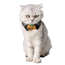 Articoli Per Animali Domestici Accessori Costumi Di Halloween