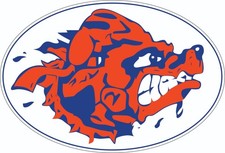 Waterboy Inspired Full Size Football Helmet Decals Sides Only