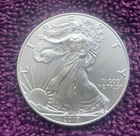 2015 Walking Liberty US Eagle Silver Dollar Coin GOV MINT .999 Fine Silver
