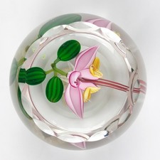 Perthshire 1987C Theobroma Cacao Flower Scallop Faceted Lampwork Paperweight COA