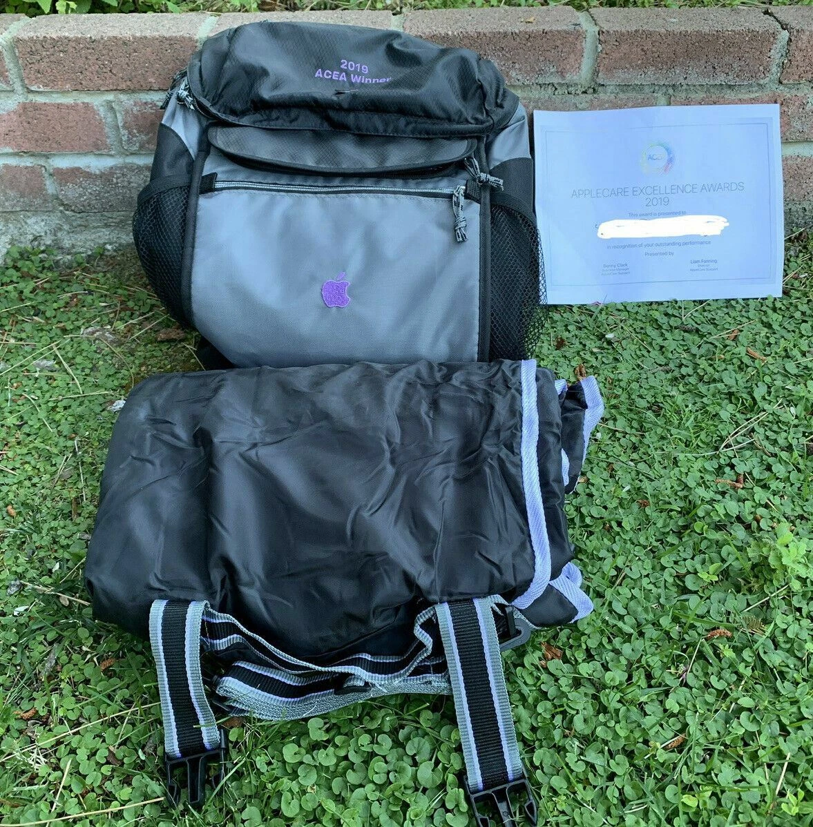 Apple backpack sales