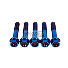 VividTi - Acura Honda B Series Titanium Transmission to Engine Bolt Kit! Burnt