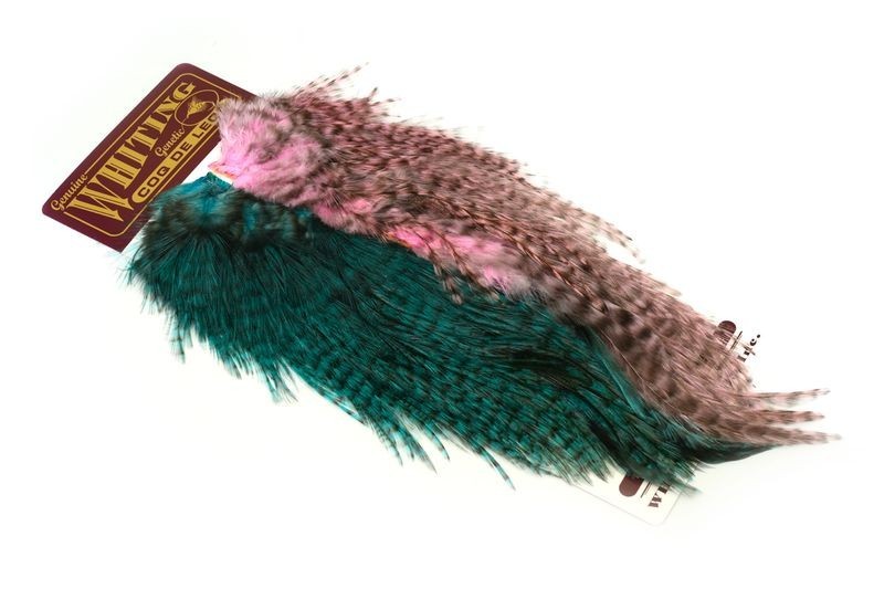 Coq de Leon Predator Pack plumes de montage Whiting pour grands streamers brochet et carnassiers