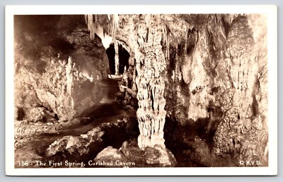 RPPC The First Spring Carlsbad Caverns New Mexico NM Real Photo Postcard