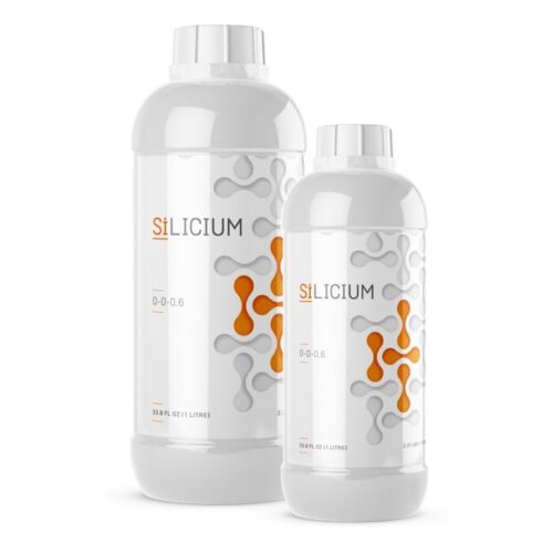 SiLICIUM - For the Regulation & the Absorption of Macro and Micro Nutrients
