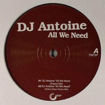 DJ Antoine - All We Need - Australian 12'' Vinyl - 2005 - Tinted Records