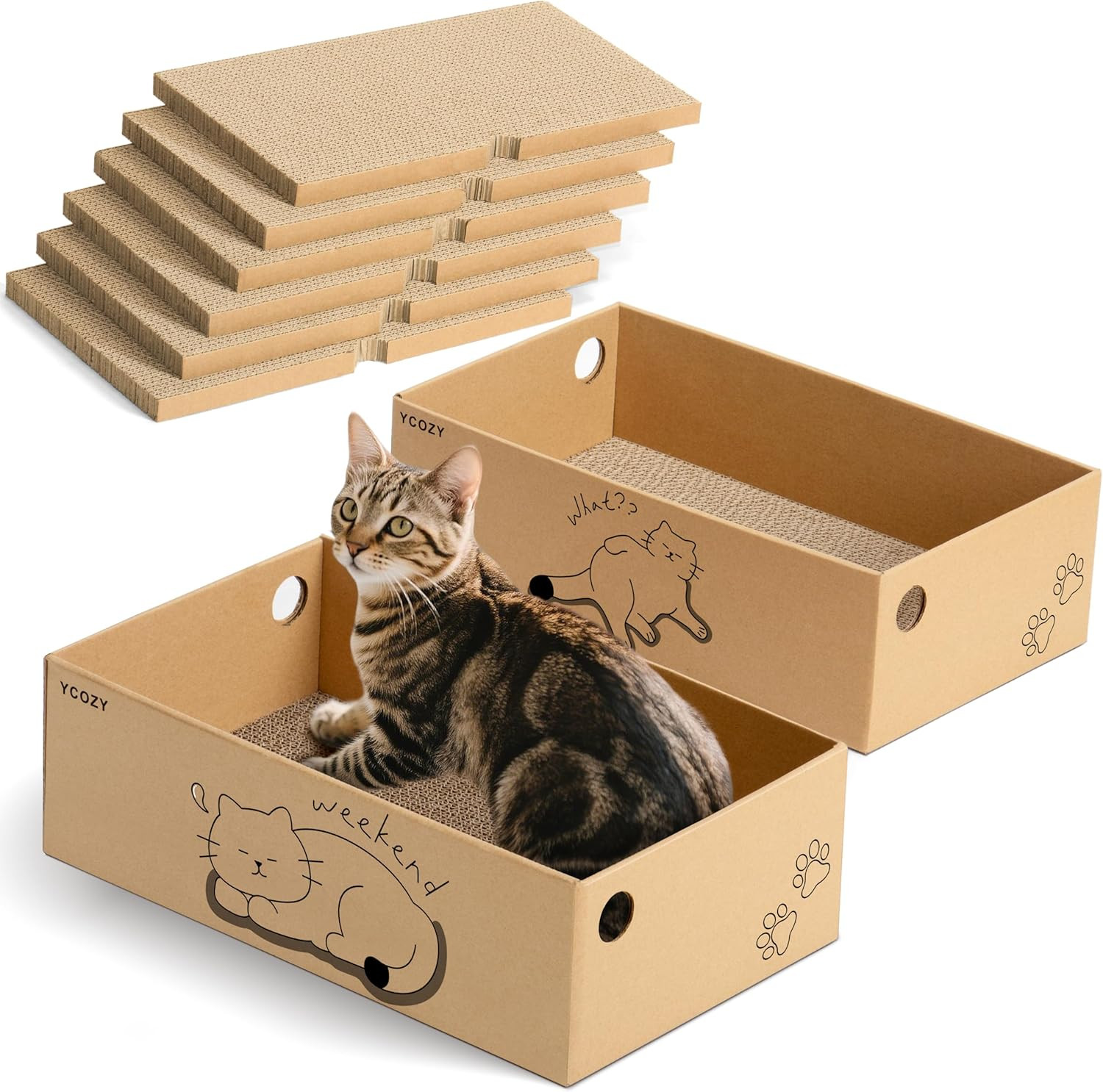 Miglior Tiragraffi XXL per Gatti: 2 Case e 6 Tavole in Cartone
