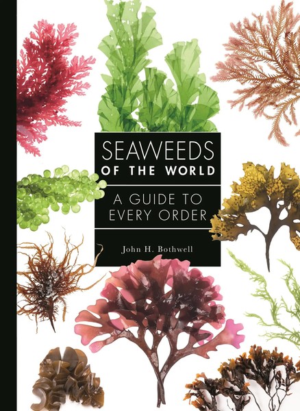 Seaweeds Of The World | A Guide to Every Order | John Bothwell | Englisch | Buch-image