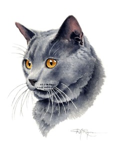 grey cat painting
