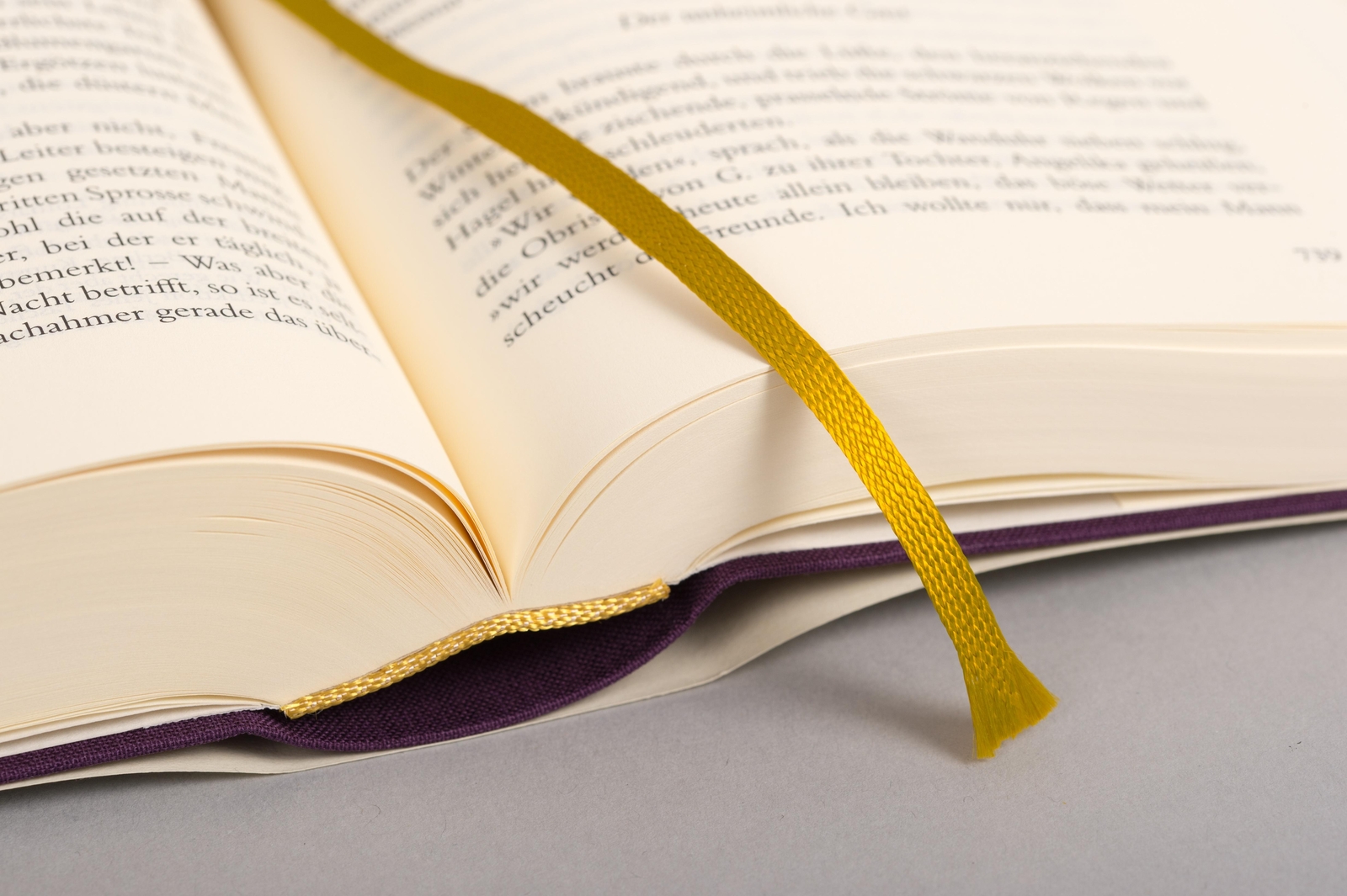 Thumbnail - Die Serapionsbrüder E. T. A. Hoffmann