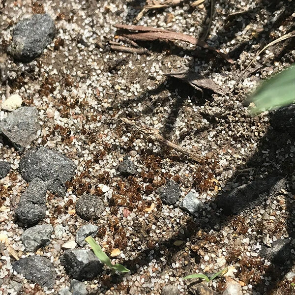 Picture 2 of 2