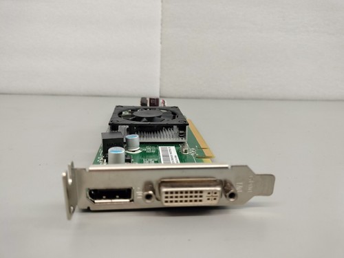 Lenovo 03T7092 AMD Radeon HD7450 1GB DDR3 DP DVI Low Profile Video Card - Picture 5 of 12