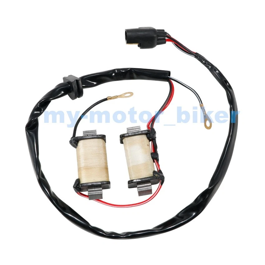 Bobina de estator generador Magneto para Suzuki RM80 1985-01/RM80S 1987-95 32101-02B31 Foto 2 de 4