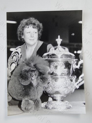 #ad Toy Poodle Grayco Hazelnut Crufts Supreme Champ Lesley Howard Trophy 1982 Photo GBP 20.00