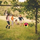 Bild 8 von 10