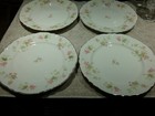 SET OF4 HOMER LAUGHLIN 10" DINNER PLATES  #A49N6 - LEAF DESIGN WITH GOLD TRIM — photo 1