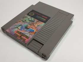 Wizards & Warriors Nintendo Entertainment System NES - Testato 100% - antipolvere
