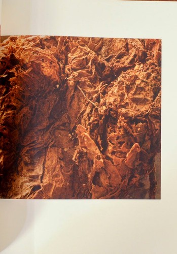 Eduardo DEL VALLE, Mirta Gomez / ON VIEW Signed Limited Edition 1st #202429 - Picture 4 of 6
