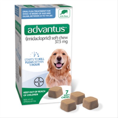 Advantus Soft Chew Flea Treatment for Dogs 23-110-Lbs. 7 Doses - 85274414