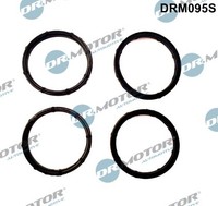 DRM095S Dr.Motor Automotive Dichtungssatz, AnsaugkrüMmer FüR ,Nissan,Opel,Renaul