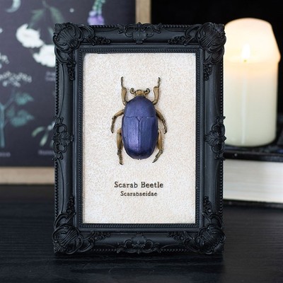 Skarabäus Käfer gerahmter Wandbilddruck Gothic Deko Geschenk