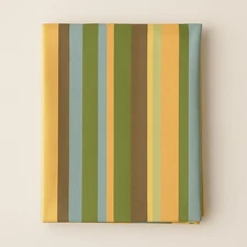 Robert Allen Upholstery Fabric Striped Cotton Twill Home Decor 2.75 Yards 56W