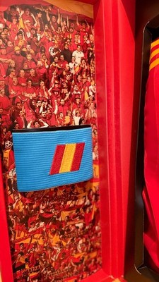 🔥 Spain 2010 World Cup Champions Player Issue TECHFIT Jersey L