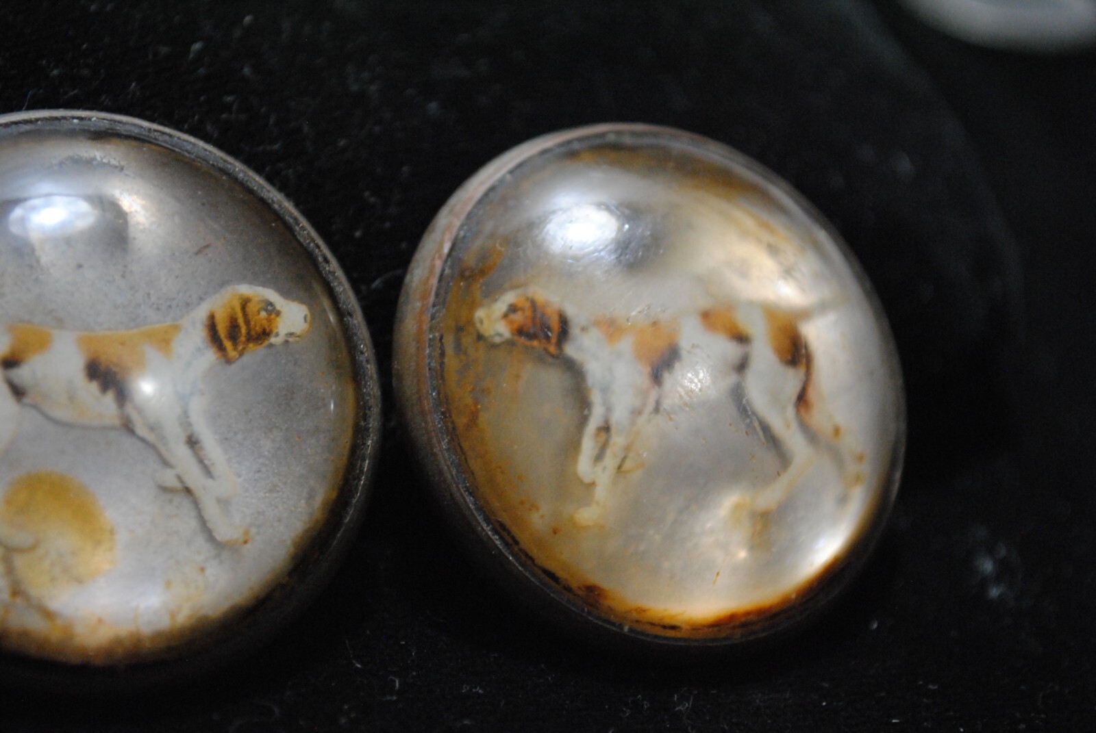Antique Pair of Reverse Painted Hunting Dogs Glass Horse Bridle Rosettes