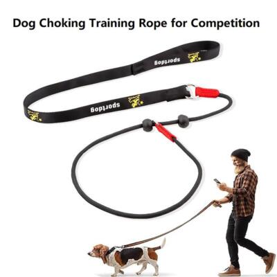 Training Dog Leash P-chain Slip Lead 2-in-1 Adjustable Dog