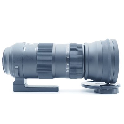 Near Mint ] Sigma 150-600mm F5-6.3 DG OS Sport Lens for Canon EF