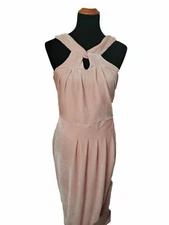 NWT Cupcakes & Cashmere Wales Velvet Cocktail Tulip Dress in Rose Smoke Size 6