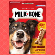 Milk-Bone Original Dog Treats Biscuits for Medium Dogs, 24 Ounces Packaging May