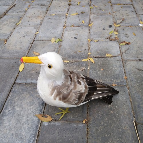 big simulation Seagull model foam&feather seagull bird model about 30x20cm - Picture 2 of 5