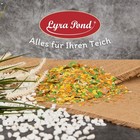 Bild 6 von 7