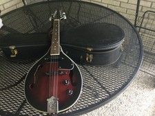 NEW YORK PRO ELECTRIC MANDOLIN FOR SALE. BEAUTIFUL INSTRUMENT. ONE OF A KIND