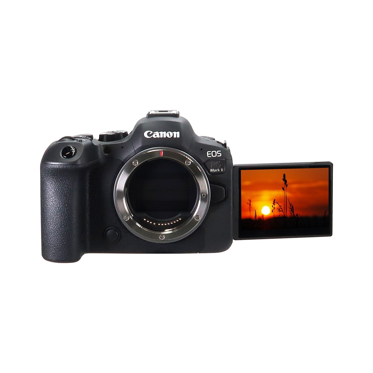 Canon EOS R6 Mark II 24.2 MP Digital Camera- Black (Body Only) for 