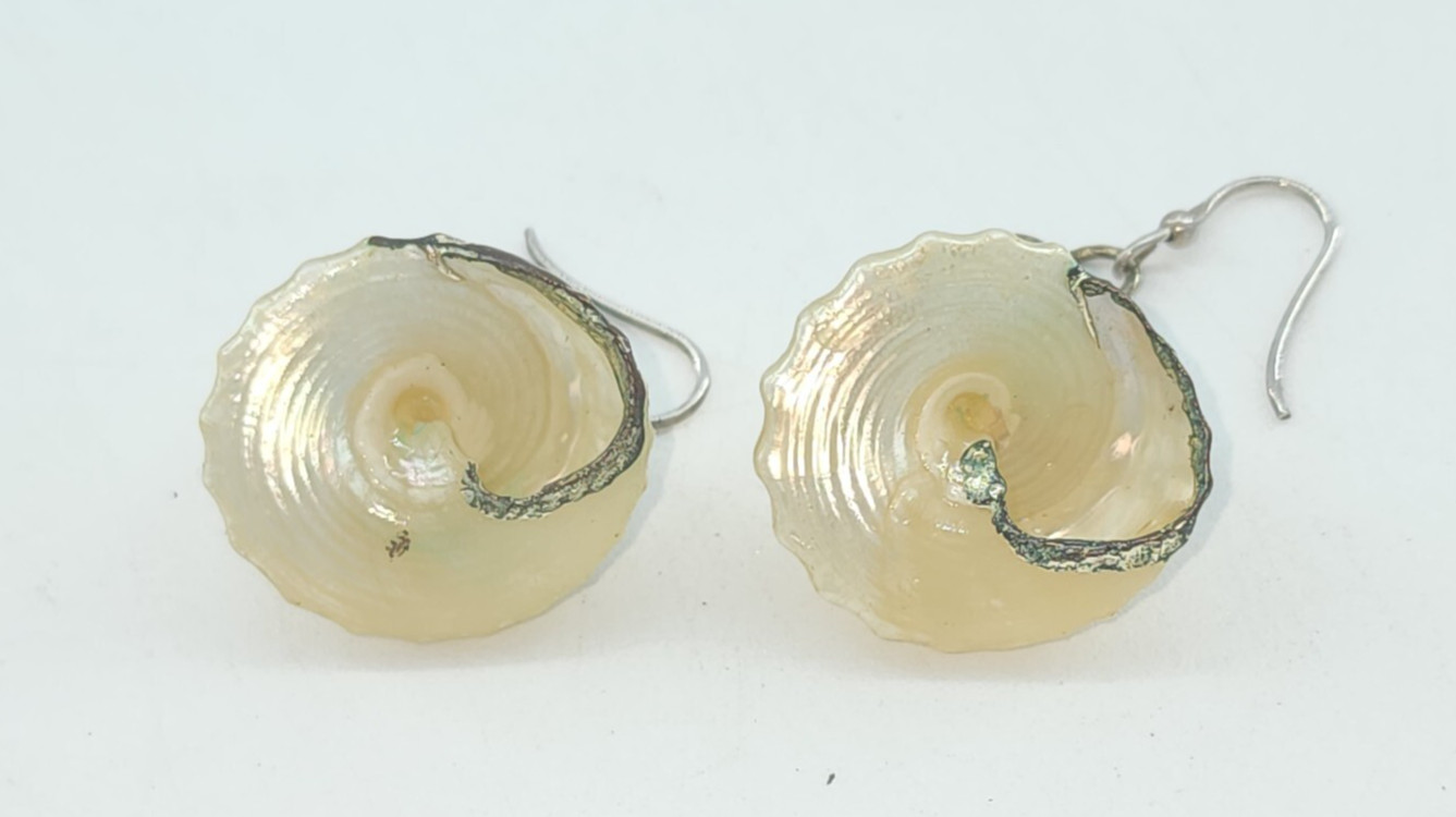 Artisan Real Conch Shell with Silver Accents Dang… - image 5