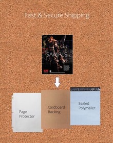 1990 Wizards & Warriors III NES Original Advertisement / Retro Wall Art v1