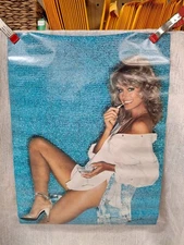 Vintage 1979 Farrah Fawcett 20x28 Poster by Pro Arts 14-684