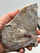 Mexican Laguna Crazy Lace Agate Slab Cabbing Collecting Combo Ship Avail