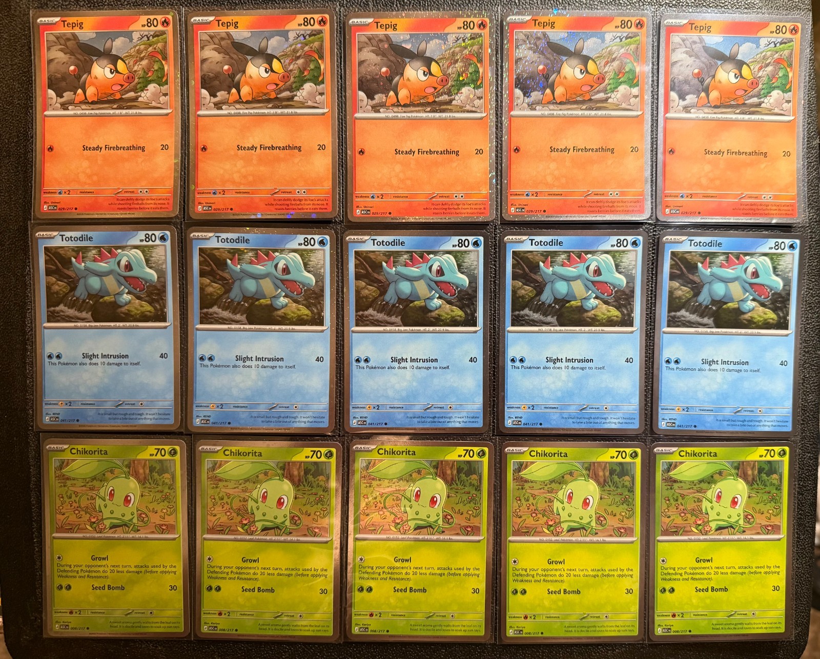 15 CARDS! Pokemon TCG First Partner Illustration Deluxe Pin Collection