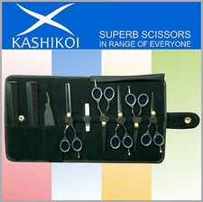Professional Salon Hair Cutting Thinning Scissors Shears Set Black Color
