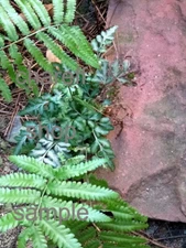 Cute lanscape digital image picture photo wallpaper background Destop Art