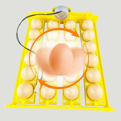 Automatischer Eierwender, 24 Eier, Eierbrutkasten Für Hühner, Wachteln, Gänse
