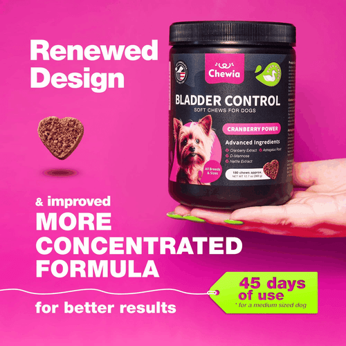 Dog UTI Treatment Dog Cranberry Supplement for Bladder Kidney Health Urinary - Bild 2 von 9