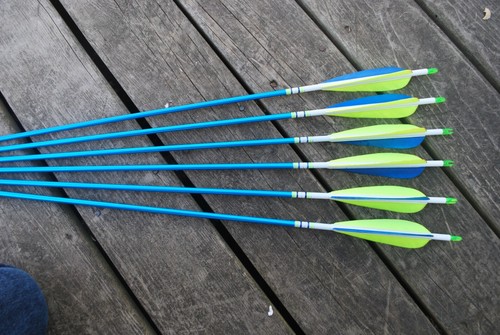 SIX NEW 500 ALUMINUM ARROWS - FEATHERS