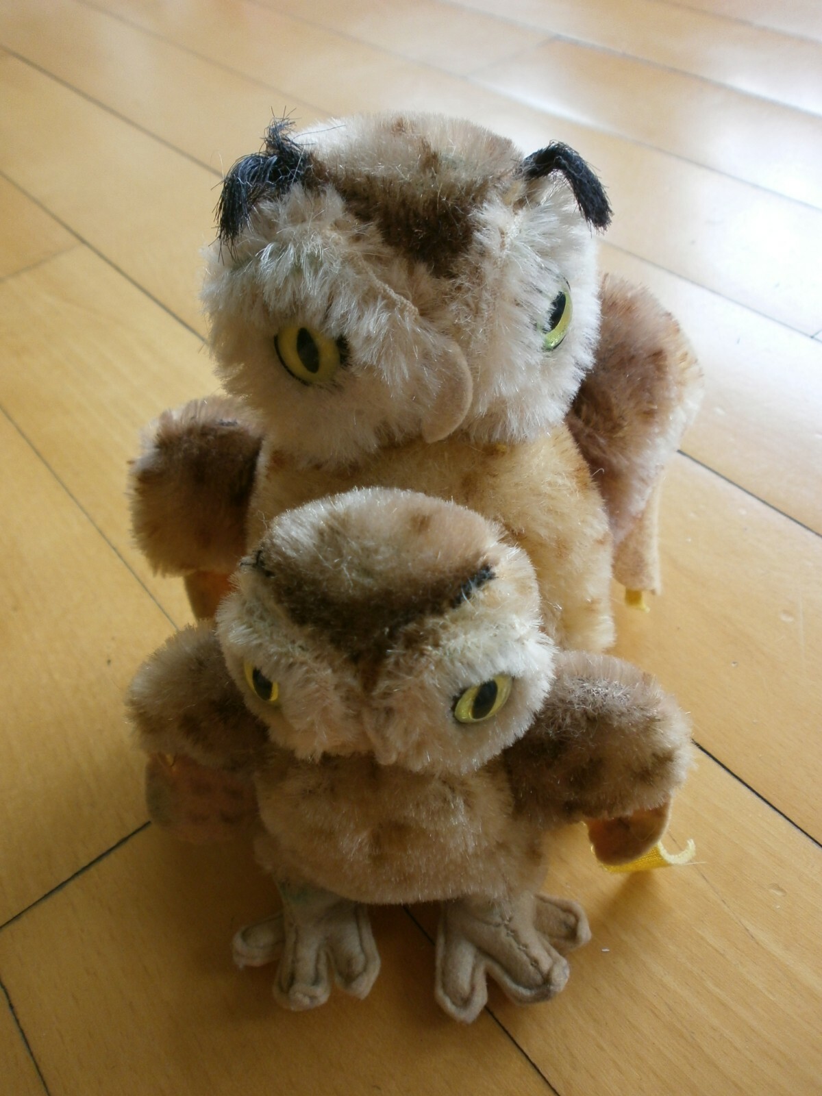 Bild 8 von 12