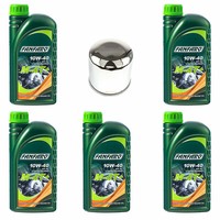 MotoröL ÖLfilter HF204C Set 10W40 5 Liter FüR Arctic Cat Kawasaki KVF Yamaha YFM